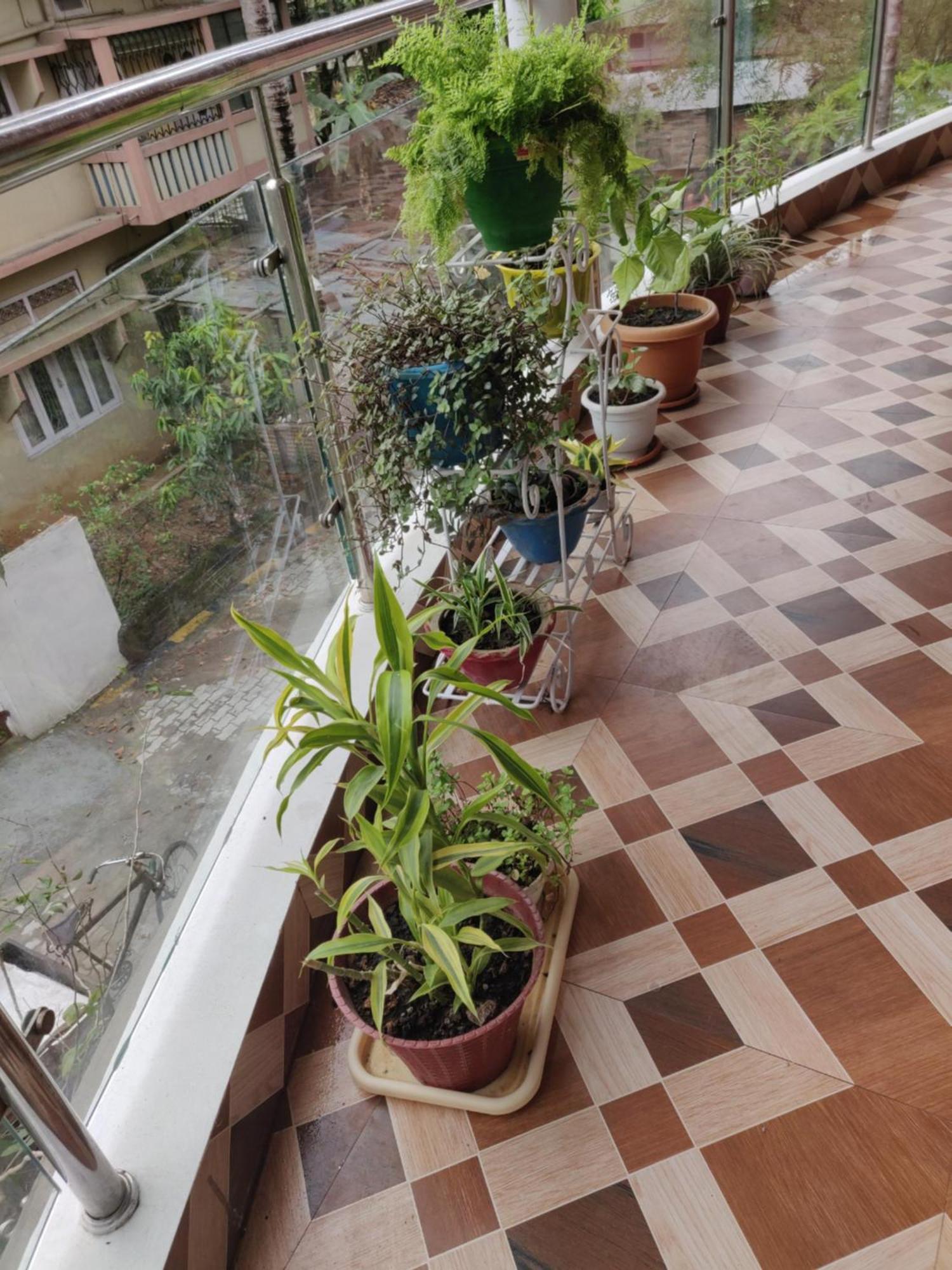 Bandana'S Bed & Breakfast Guwahati Luaran gambar